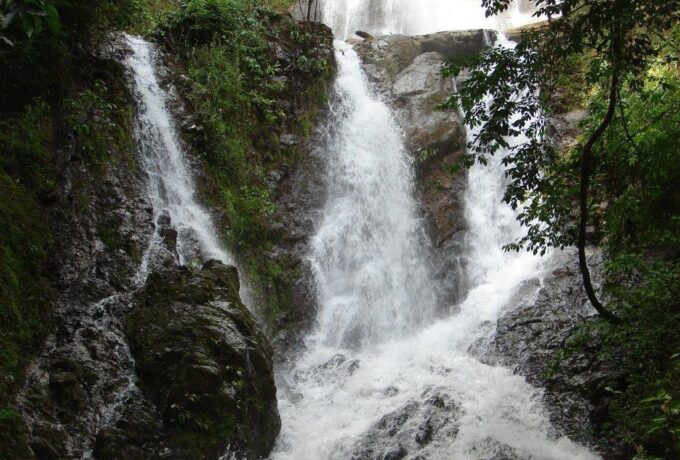 8ce562f2-e163-4e79-97ae-c067fdc32191