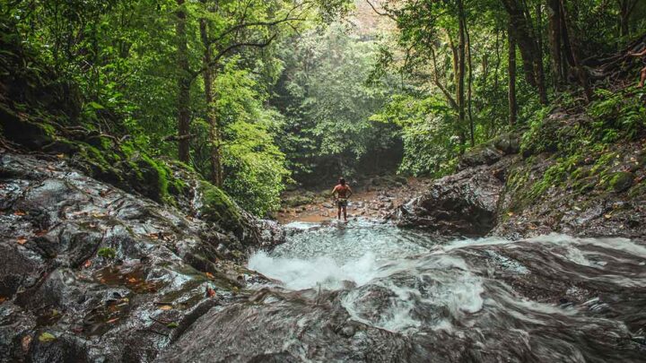Guided nature tour to Las Pilas waterfall in Jaco Costa Rica featuring a scenic jungle pool.